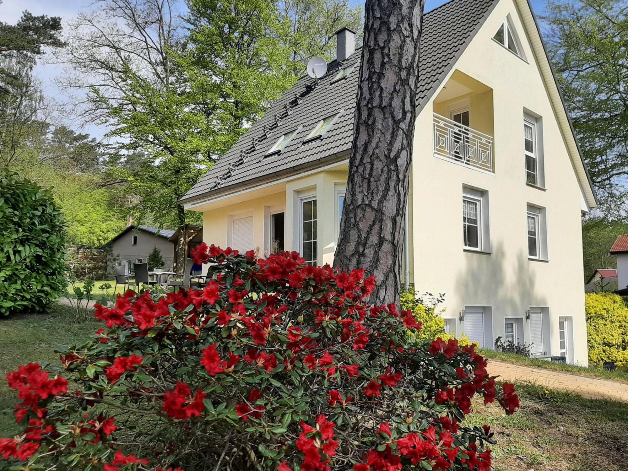 Bansin, Ferienwohnung Bansin Heringsdorf  Kültér fotó